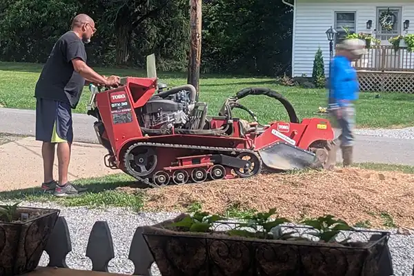Pearls Dumpster & Junk Removal's other services