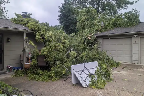 Yard Trash Removal