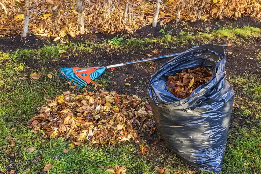 Quality Yard Trash Removal Youngstown, OH