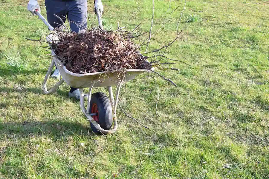 The Benefits Of Yard Trash Removal For Lawn Health Youngstown, OH