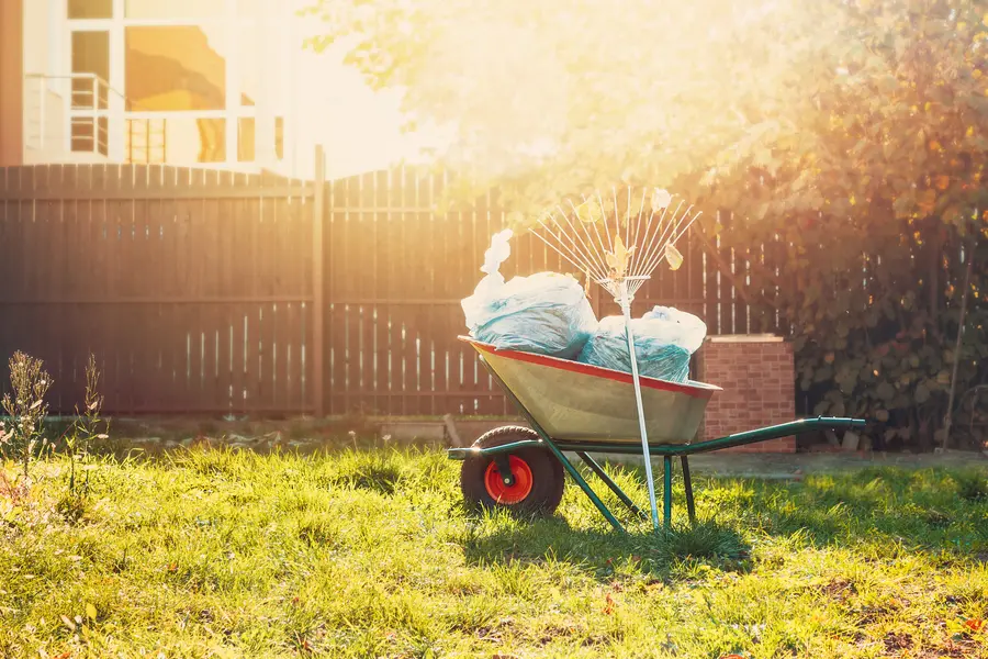 The Benefits Of Yard Trash Removal For Lawn Health in Youngstown, OH