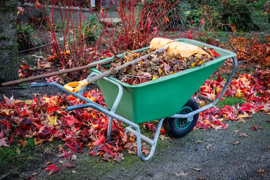 Yard Trash Removal Solutions For Large And Small Properties Youngstown, OH