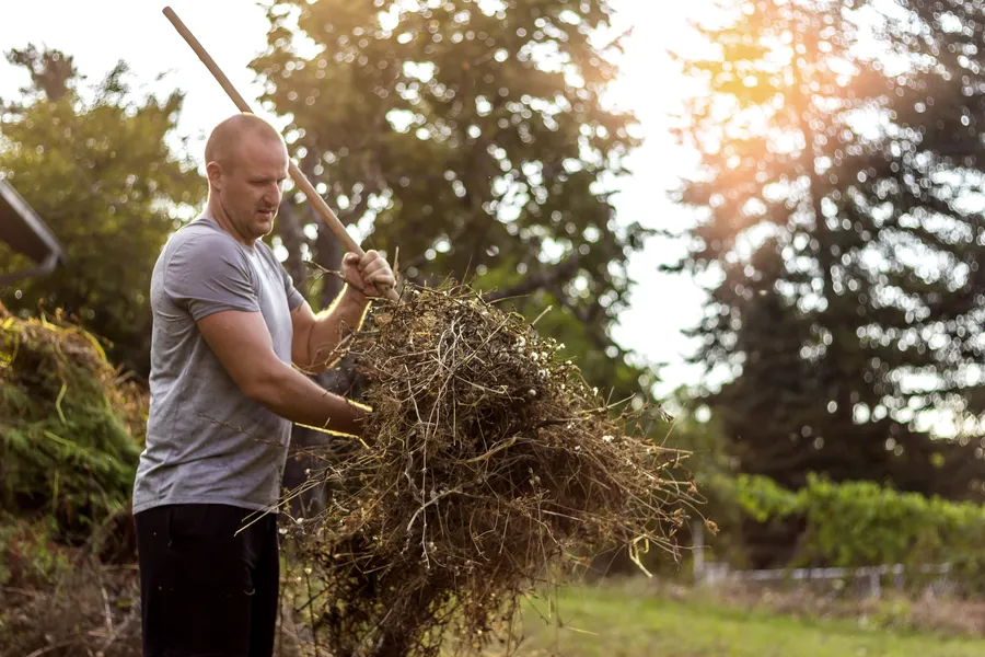 Yard Trash Removal Solutions For Large And Small Properties in Youngstown, OH